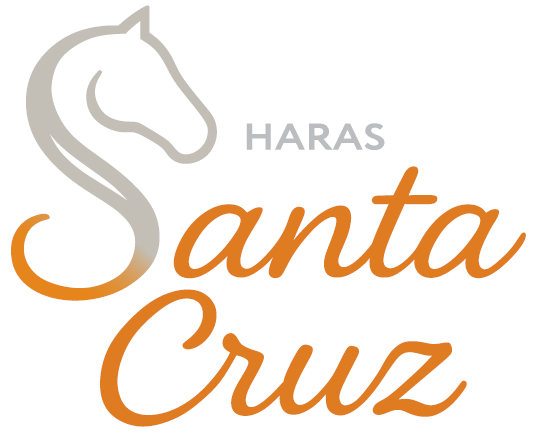 Edital de Convocaçã